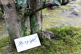 特別公開講座《古典文学シリーズⅢ》を開催