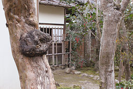平成24年度春期近代文学講座第1回を開催