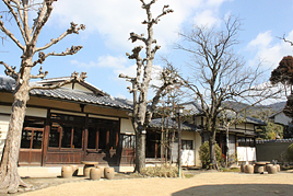 特別公開講座《古典文学シリーズⅢ》を開催