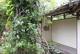 夏期近代文学講座第３回を開催
