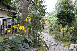 後期古典講読講座《平家物語》第1回を開催