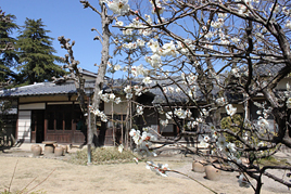 後期古典講読講座《平家物語》第9回を開催