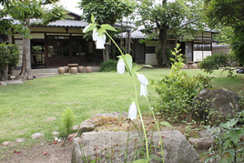 古典講読講座《伊勢物語》第2回を開催