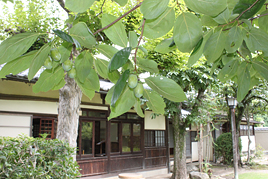 古典講読講座《徒然草》第5回を開催