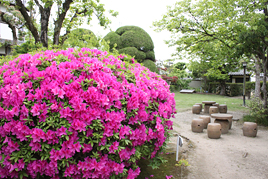 平成26年度 古典文学講座《古今和歌集》第1回を開催