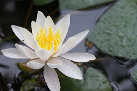 古典講読講座《芭蕉と大和》第2回を開催