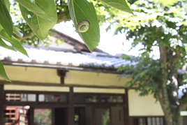近代文学講座第5回を開催