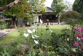秋期特別講座「白樺サロンの会」（全8回）の第7回を開催
