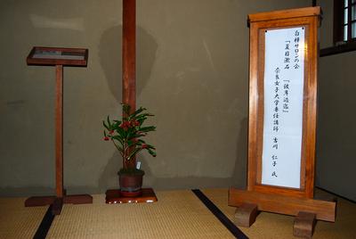 白樺サロン特別講座・夏目漱石「彼岸過迄」を開催しました