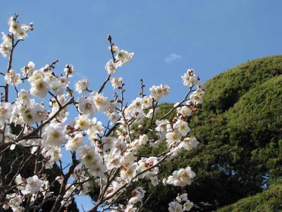 近代文学講座《文学表現の諸相》後期第4回を開催