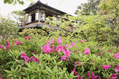 4月の志賀直哉旧居