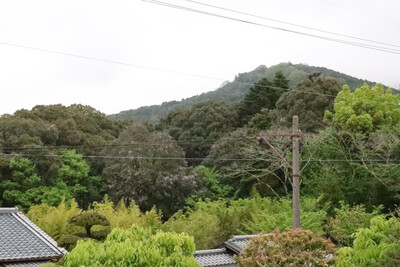 4月の志賀直哉旧居