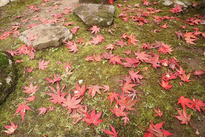 11月の志賀直哉旧居