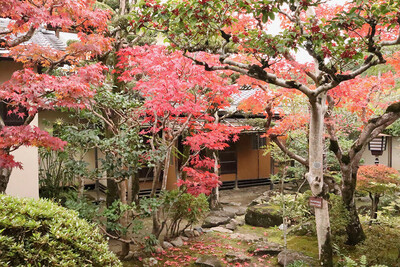 11月の志賀直哉旧居