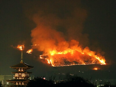 大寒のころ　志賀直哉旧居から