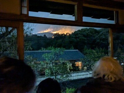 大寒のころ　志賀直哉旧居から