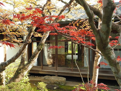 清明のころ　志賀直哉旧居から