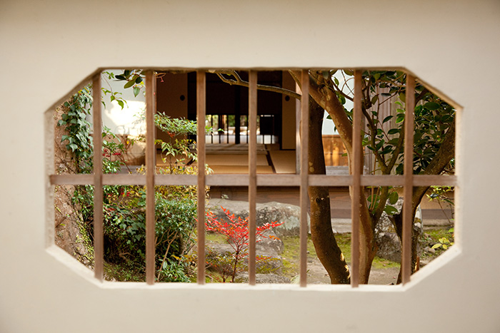 直哉も愛した日本庭園　庭園と奈良公園の池めぐり