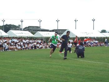 合同運動会を行いました