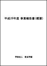 平成29年度事業報告書（概要）