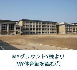 MY体育館