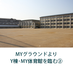 MMY体育館