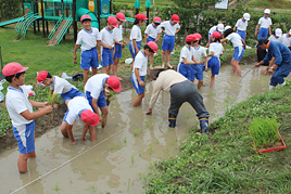 【小学校】小学校4年生(P4)が田植えをしました