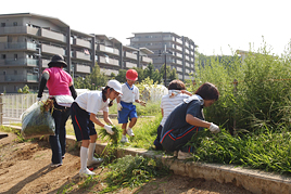 【小学校】登翔会清掃活動を実施しました