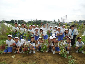 【小学校】小学校2年生(P2)がさつまいもほりをしました