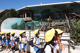 秋の遠足で天王寺動物園に行きました