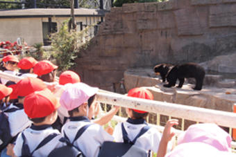 秋の遠足で天王寺動物園に行きました