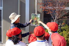 【小学校】小学1年生（P1）が秋の校庭観察会を行いました