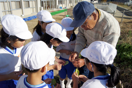 【小学校】小学1年生（P1）が秋の校庭観察会を行いました