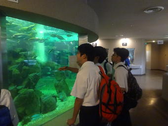 【中学校】中学２年生が白浜宿泊研修に行きました