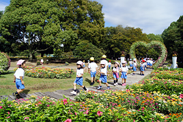 【幼稚園】秋の遠足に行きました