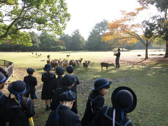 【小学校】小学１年生が宿泊学習に行きました