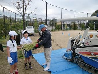 【小学校】小学４年生が棚田の稲刈りを行いました