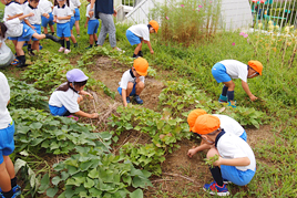 【幼稚園】夏期保育を行いました
