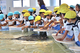 【幼稚園】秋の遠足で海遊館へ出掛けました