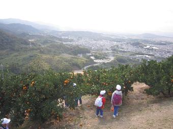 【小学校】P2生(小2)が秋の遠足にみかん園に行きました