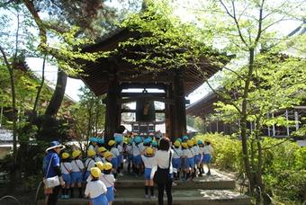 【幼稚園】唐招提寺へ春の遠足に出掛けました