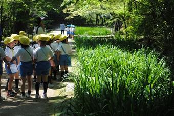 【幼稚園】唐招提寺へ春の遠足に出掛けました