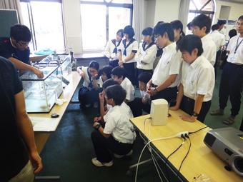 【中学校】M4学年　白浜宿泊研修を行いました