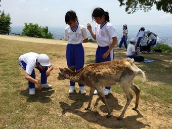 【小学校】P4生が春日山原始林に行ってきました