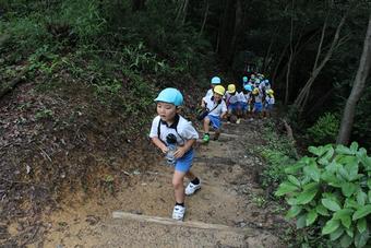 【幼稚園】「お泊り保育」を行いました