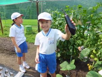 【小学校】Ｐ４生（小４）が宿泊学習に行ってきました