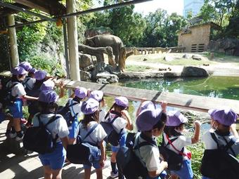 【幼稚園】秋の遠足で天王寺動物園へ出かけました