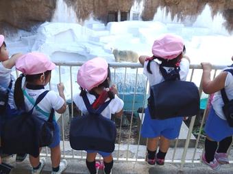 【幼稚園】秋の遠足で天王寺動物園へ出かけました