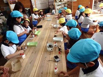 【幼稚園】生駒山山麓公園・森の工作館に出掛けました