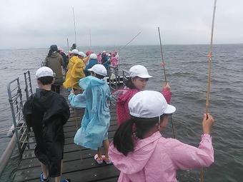 P3(小3)生が琵琶湖へ宿泊学習に行ってきました